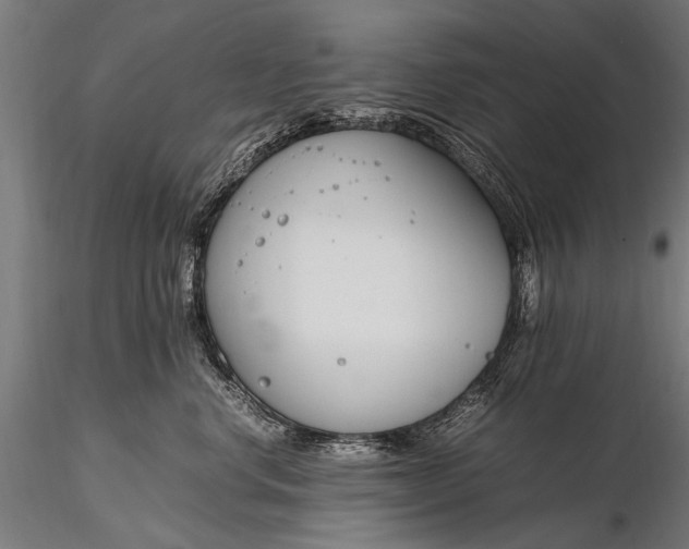 X0000116290668200912141313