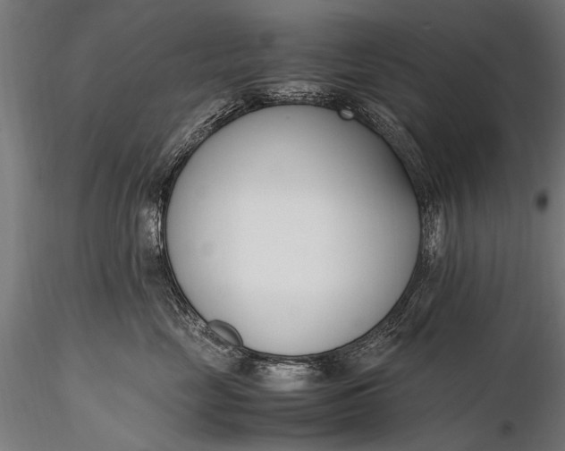 X0000116290669200912141313