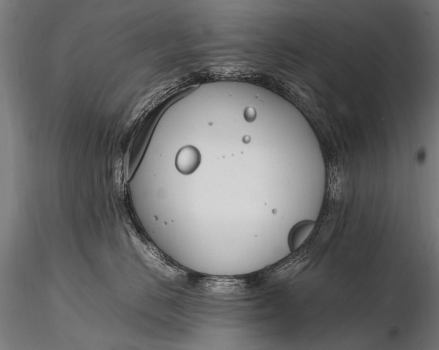 X0000116290670200912141313