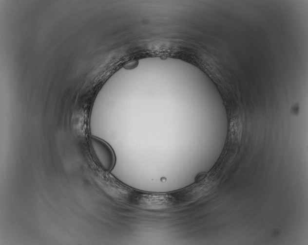 X0000116290671200912141313