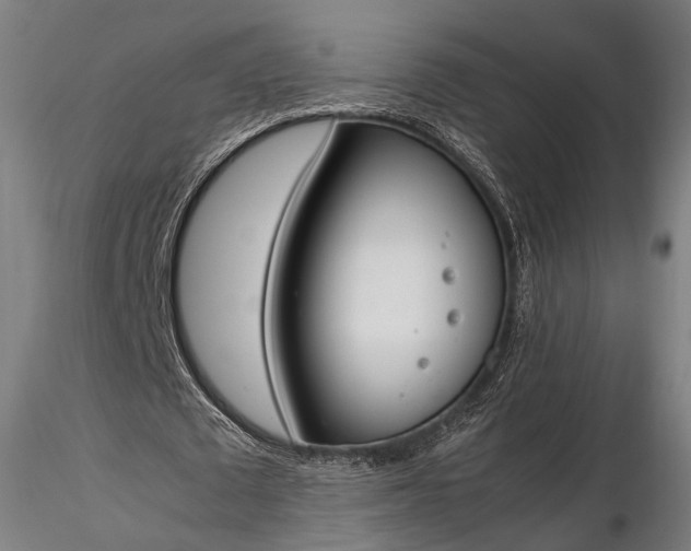 X0000116290673200912141312