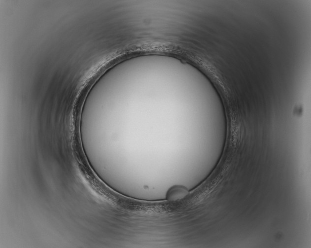 X0000116290674200912141312