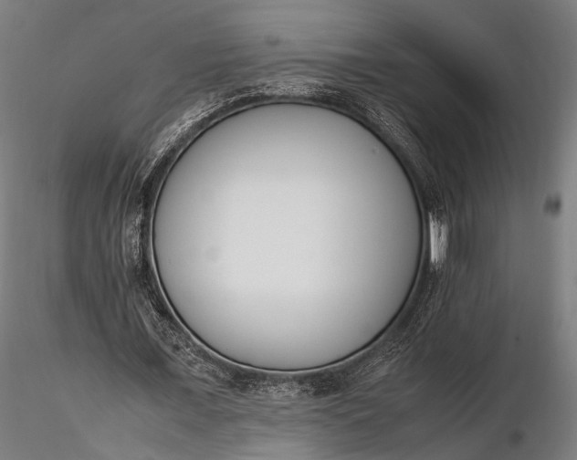 X0000116290675200912141312