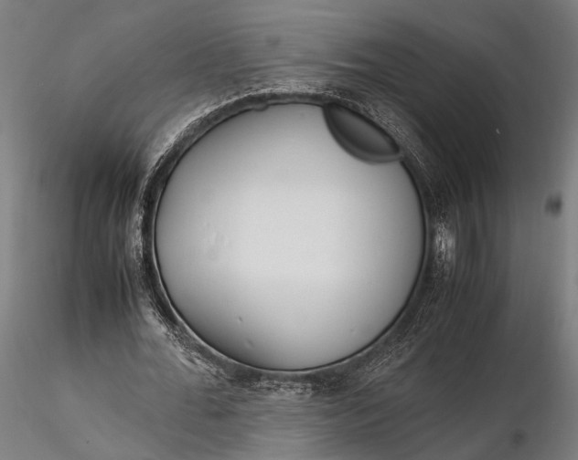 X0000116290676200912141312