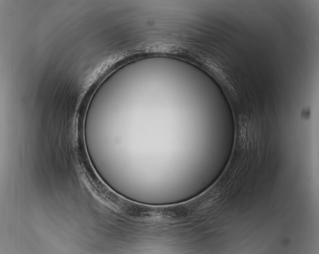 X0000116290678200912141312