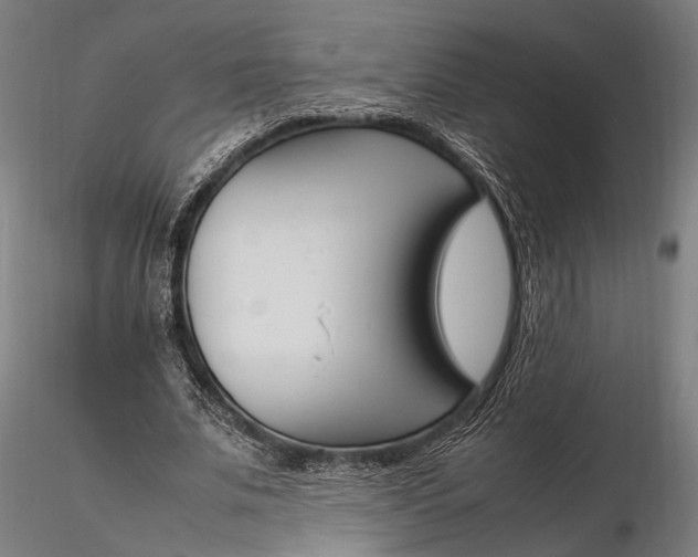 X0000116290679200912141312