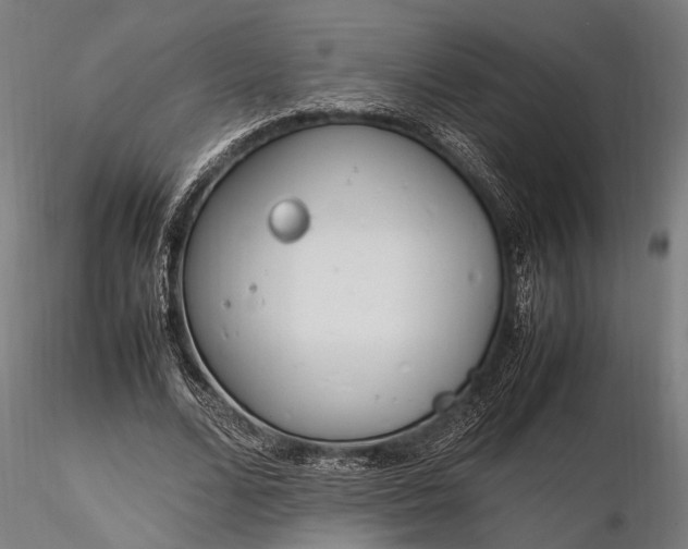 X0000116290680200912141312