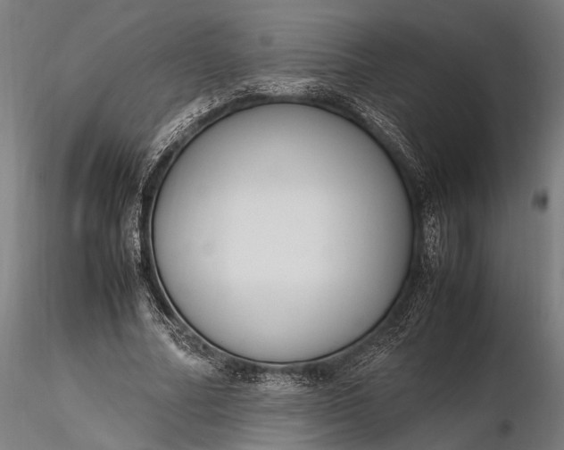 X0000116290682200912141312