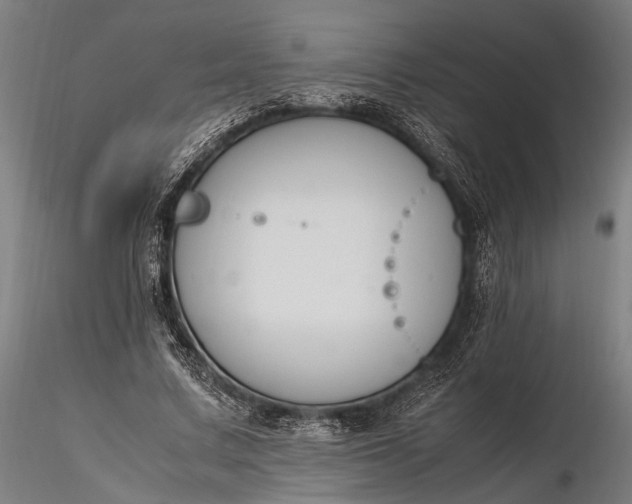 X0000116290683200912141312