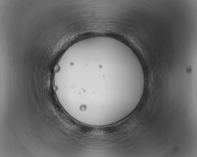 X0000116290685200912141312