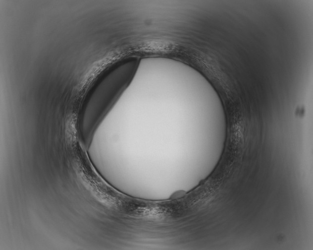 X0000116290688200912141312