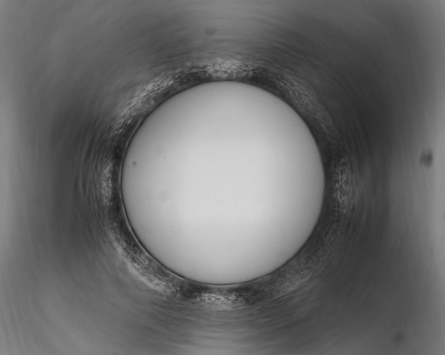 X0000116290690200912141312