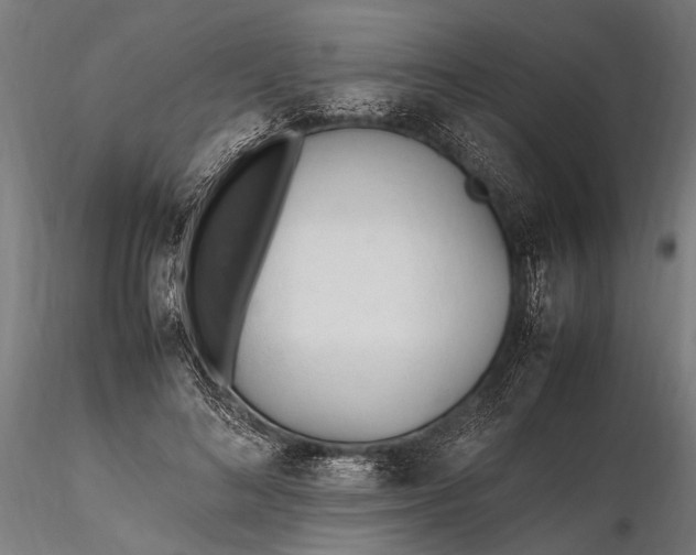 X0000116290692200912141312