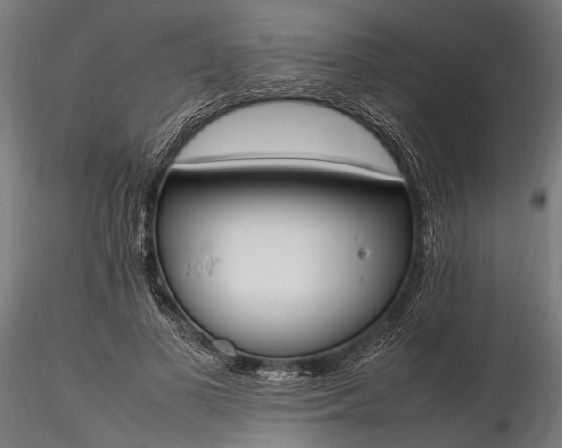 X0000116290693200912141312