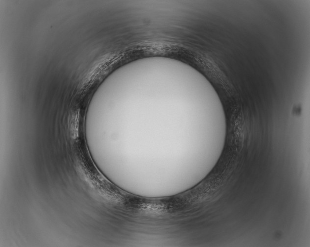 X0000116290694200912141312