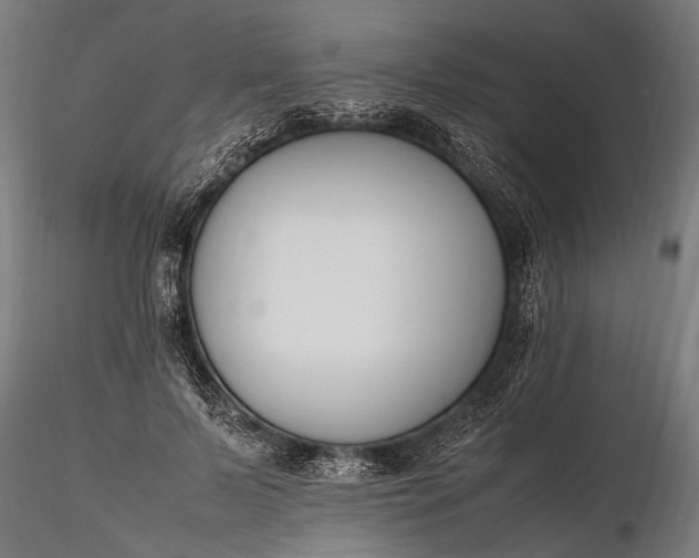 X0000116290695200912141312