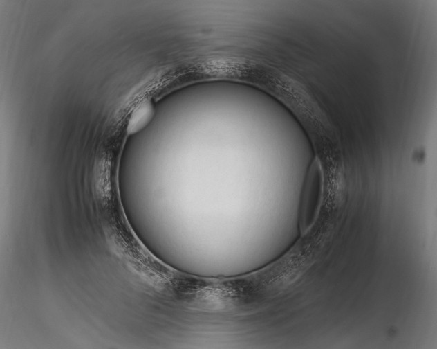 X0000116290696200912141312