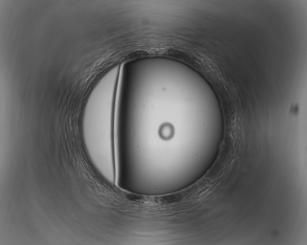 X0000116290697200912141312