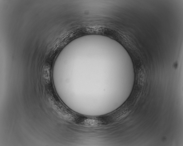 X0000116290699200912141312