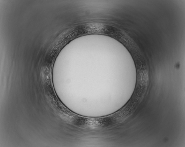 X0000116290701200912141312