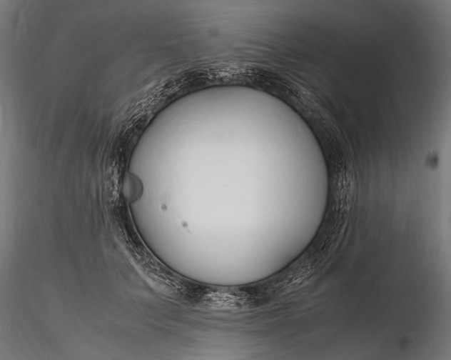 X0000116290703200912141312