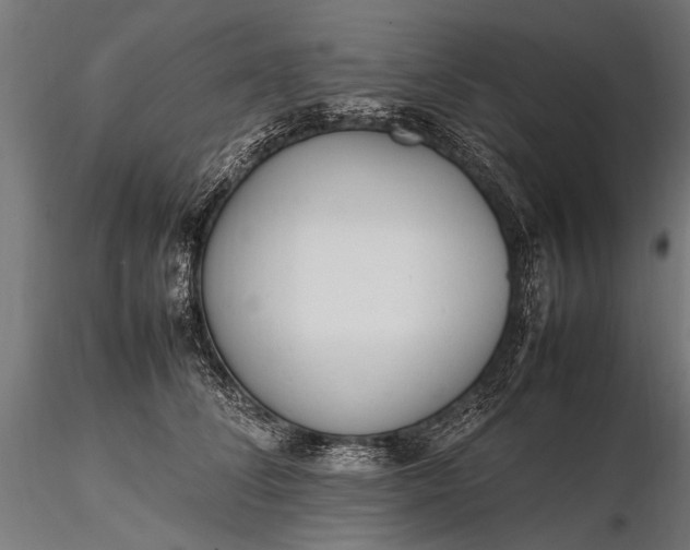 X0000116290708200912141312