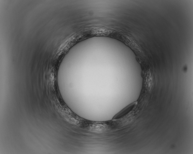 X0000116290716200912141312