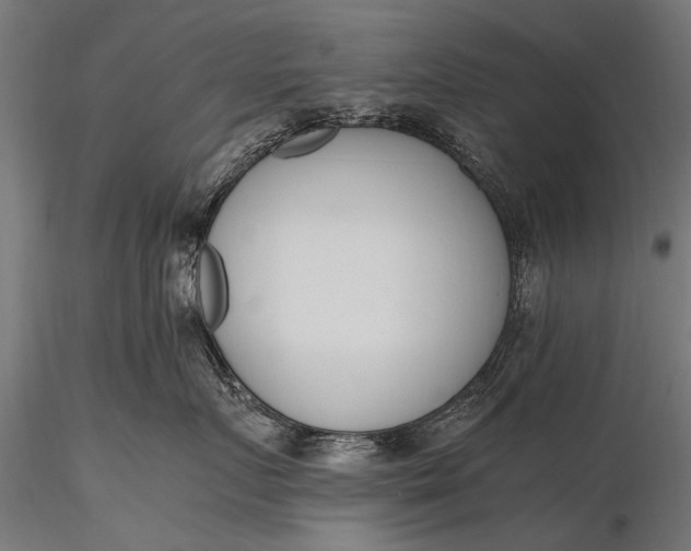 X0000116290719200912141312