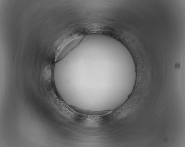 X0000116290720200912141312