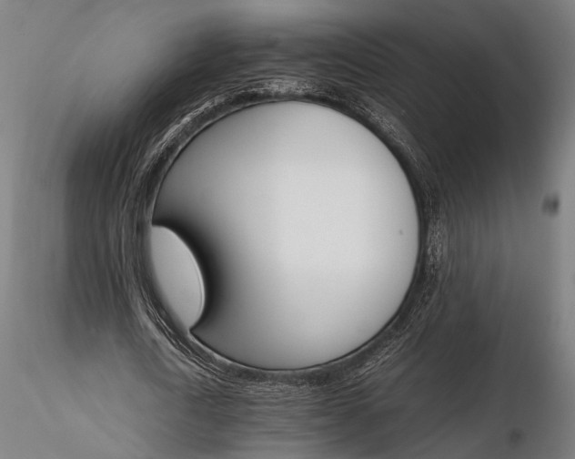 X0000116290722200912141311