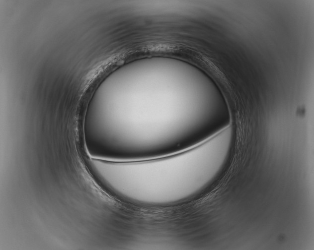 X0000116290725200912141311