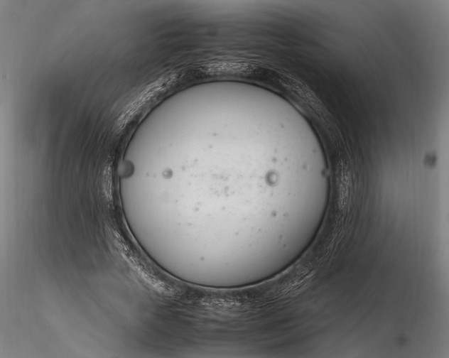 X0000116290729200912141311