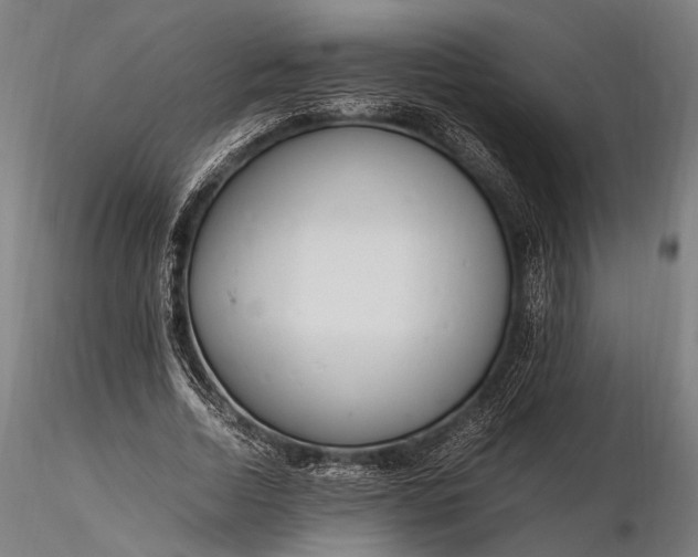 X0000116290730200912141311