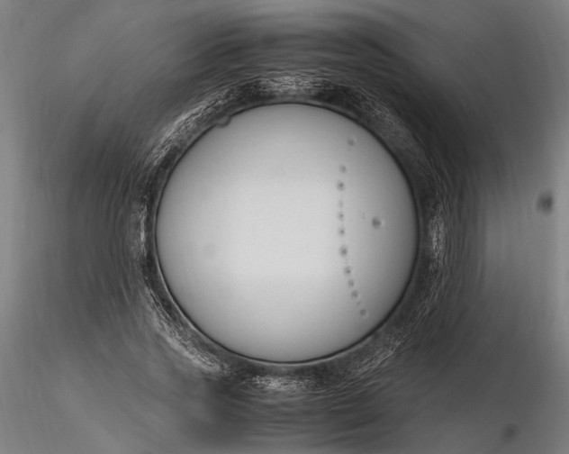 X0000116290733200912141311