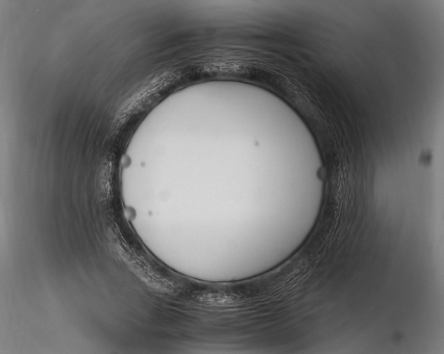 X0000116290735200912141311