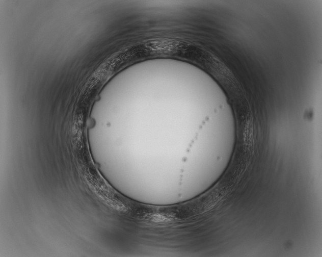 X0000116290737200912141311