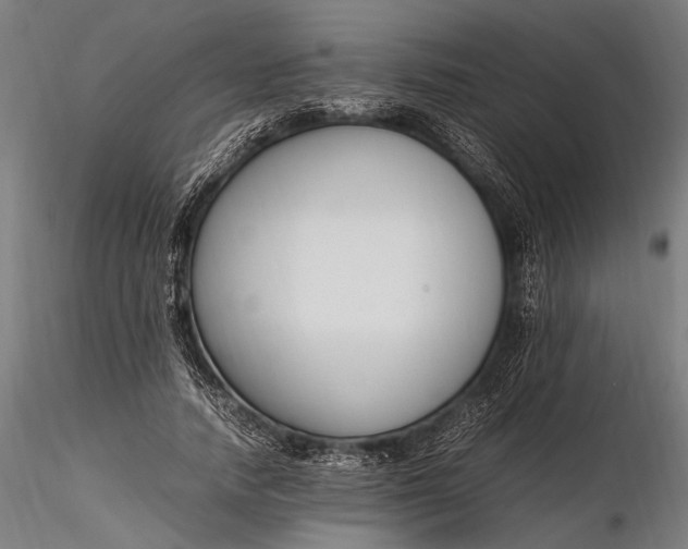 X0000116290738200912141311