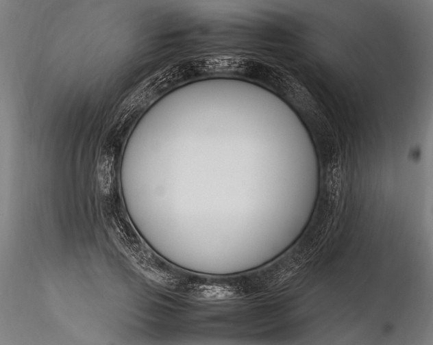 X0000116290741200912141311