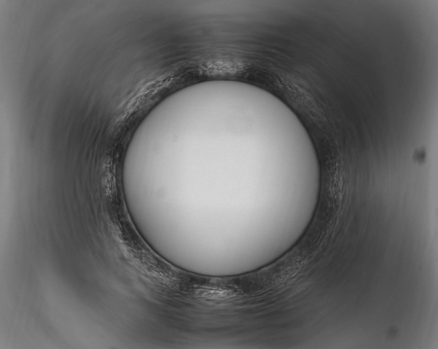 X0000116290743200912141311