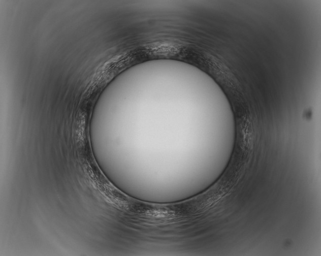 X0000116290745200912141311