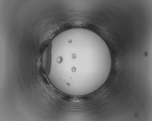 X0000116290746200912141311