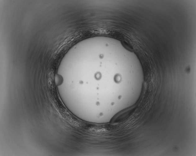 X0000116290747200912141311