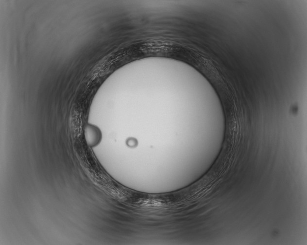 X0000116290751200912141311