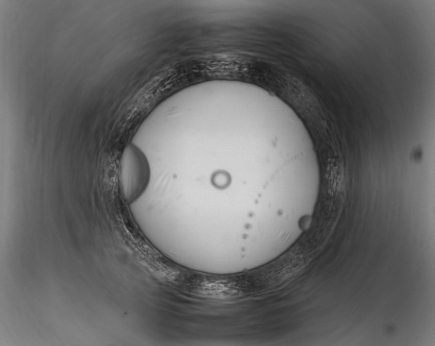 X0000116290753200912141311