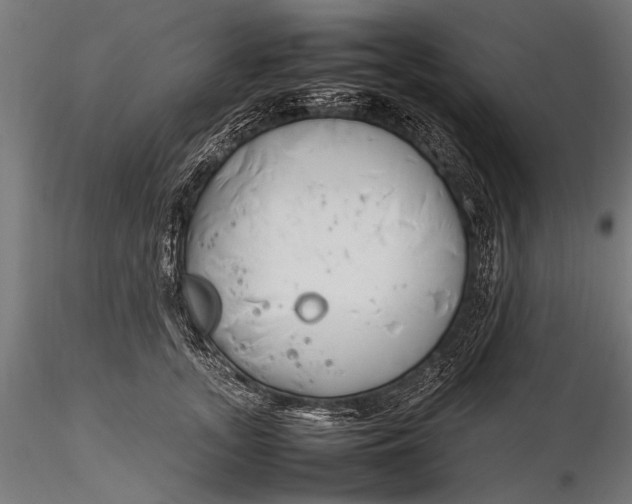 X0000116290755200912141311