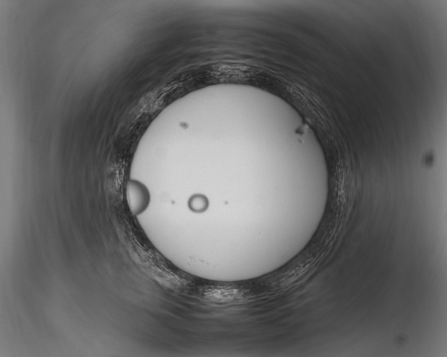 X0000116290759200912141311