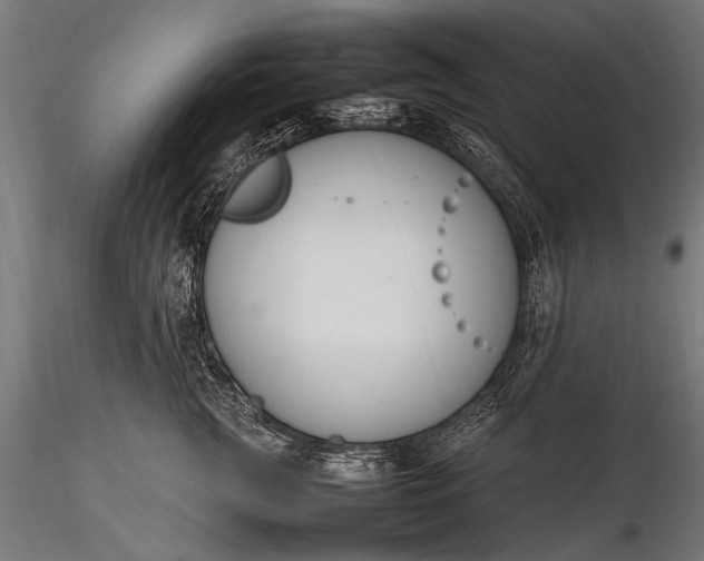 X0000116290761200912141311