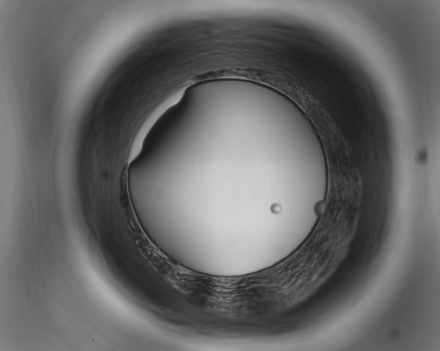 X0000116290766200912141312