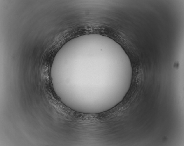 X0000116290770200912141311