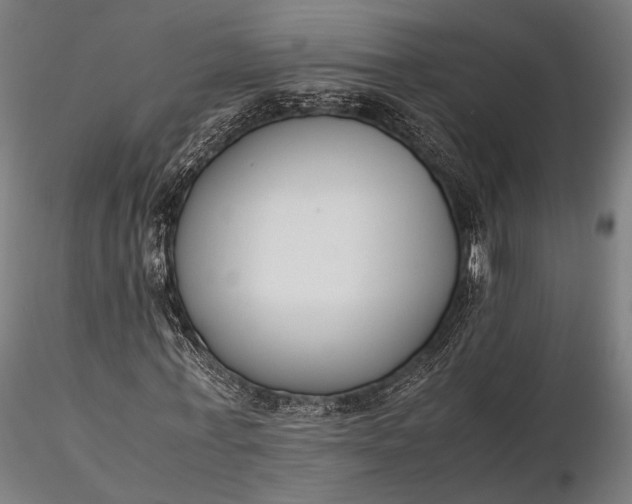 X0000116290771200912141311